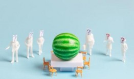 娱乐圈爆料网站大全最新,揭秘明星幕后故事与幕后黑手！