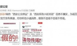 西安爆料真假视频,真假视频背后的真相揭晓